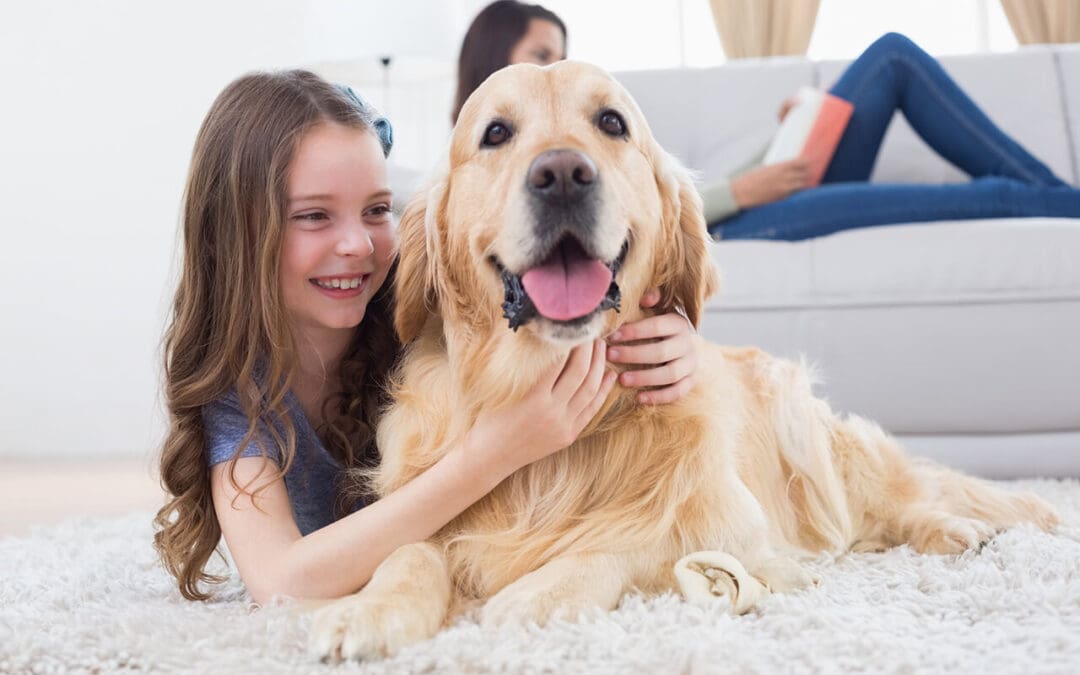 Cleaning Tips for Pet Owners: A Smarter Way to Keep Your Home Fresh and Fur-Free